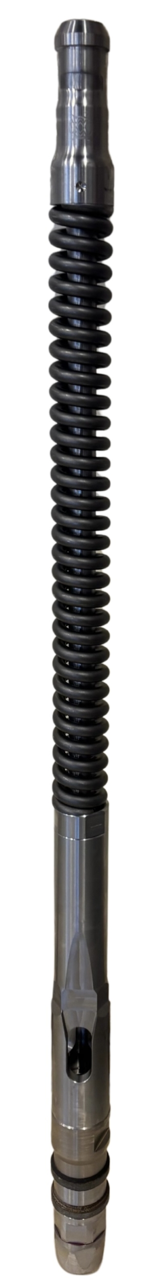 IMG 2960 Edited 1 scaled